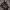 https://res.cloudinary.com/billionhands/image/upload/v1772349740/items/iq4oowe9ukh5i9s0tt91.jpg-2cover