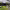 https://res.cloudinary.com/billionhands/image/upload/v1772466850/items/wdsu3ycmua2fjj3vknwp.jpg-2cover