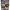 https://res.cloudinary.com/billionhands/image/upload/v1772473594/items/vrctlscxldklkloyiwhn.webp-3cover