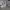 https://res.cloudinary.com/billionhands/image/upload/v1772479593/items/lzjcnvggphnb2zcpehyh.jpg-0cover
