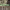 https://res.cloudinary.com/billionhands/image/upload/v1772480421/items/dlfuyd8qidqnu3shjcvz.jpg-0cover