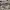 https://res.cloudinary.com/billionhands/image/upload/v1772480921/items/biusvejwhub9j8m6gmbv.jpg-2cover