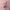 https://res.cloudinary.com/billionhands/image/upload/v1772481397/items/sv39nshubwvst36uos2r.jpg-1cover