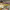 https://res.cloudinary.com/billionhands/image/upload/v1772481809/items/vpeugce4niiyijfroai9.webp-1cover