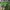 https://res.cloudinary.com/billionhands/image/upload/v1772485000/items/i2xfaomwzrceudac7sr4.jpg-1cover