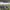 Allianz Stadium (Juventus, Turin) cover