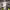 https://res.cloudinary.com/billionhands/image/upload/v1772522608/items/xxpeh2gys7c8kzouioj4.jpg-2cover