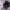 https://res.cloudinary.com/billionhands/image/upload/v1772536841/items/ci6rycxme2ewitojkqh9.jpg-1cover