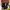https://res.cloudinary.com/billionhands/image/upload/v1772536865/items/d7glehjt6vb6wezjdehh.webp-3cover