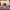 https://res.cloudinary.com/billionhands/image/upload/v1772536961/items/xpbcxkpzgiwdedsb0bla.webp-0cover