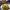 https://res.cloudinary.com/billionhands/image/upload/v1772616321/items/fnztb80xlajpdqex7xbw.jpg-3cover