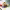 https://res.cloudinary.com/billionhands/image/upload/v1772616330/items/bufkmogpntjwxb8ntk6c.jpg-3cover