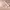 https://res.cloudinary.com/billionhands/image/upload/v1772618654/items/rif90tcyx3ot1rvofcml.webp-3cover