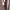 https://res.cloudinary.com/billionhands/image/upload/v1772709217/items/akojg4efn3uhylgi4onc.jpg-1cover
