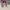 https://res.cloudinary.com/billionhands/image/upload/v1772709219/items/sm4apcthpu4fkom5povw.webp-3cover
