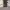 https://res.cloudinary.com/billionhands/image/upload/v1772710183/items/ppqhza3xprx0bwi5emxh.jpg-1cover