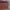 https://res.cloudinary.com/billionhands/image/upload/v1772710185/items/wvmxwwn0lpwno0nb07m8.jpg-2cover