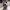 https://res.cloudinary.com/billionhands/image/upload/v1772710274/items/b4cdquq7fgu2jflmgyhf.jpg-3cover