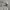 https://res.cloudinary.com/billionhands/image/upload/v1772710325/items/nusn0y9ka4xlhe9rvb3g.jpg-3cover