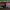 https://res.cloudinary.com/billionhands/image/upload/v1772710325/items/w0qzope6pogzkv0q6ek0.jpg-0cover
