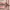 https://res.cloudinary.com/billionhands/image/upload/v1772710342/items/l97nfqrnnrfgrohevvvo.jpg-2cover