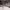 https://res.cloudinary.com/billionhands/image/upload/v1772710603/items/kwxzkos0z8n8olwdyfpu.jpg-0cover