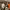 https://res.cloudinary.com/billionhands/image/upload/v1772710707/items/jbzorakylcihxdr27tiw.webp-1cover