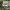 https://res.cloudinary.com/billionhands/image/upload/v1772710714/items/xdwcwcttbw9xqwosn7wx.jpg-2cover