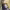 https://res.cloudinary.com/billionhands/image/upload/v1772710939/items/hzqhefcfnqyilfjozpc0.jpg-3cover