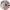 https://res.cloudinary.com/billionhands/image/upload/v1772711015/items/vvgwsmbdgs64muwnvvfj.png-2cover
