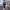https://res.cloudinary.com/billionhands/image/upload/v1772711089/items/eve1prx0il2odkub5uss.png-0cover
