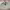 https://res.cloudinary.com/billionhands/image/upload/v1772711089/items/j7orgfhhymki2eg66rbc.jpg-2cover