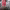 https://res.cloudinary.com/billionhands/image/upload/v1772711115/items/xjbfx2gue4owiesjwzed.webp-3cover