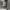 https://res.cloudinary.com/billionhands/image/upload/v1772711391/items/am7dkr3wbzdrkzwiziku.jpg-3cover