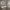 https://res.cloudinary.com/billionhands/image/upload/v1772711440/items/jatmdctbv4jysvfzschm.jpg-0cover