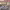 https://res.cloudinary.com/billionhands/image/upload/v1772711498/items/cx4gpsirm5axv4h9m9mh.jpg-0cover