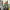 https://res.cloudinary.com/billionhands/image/upload/v1772711532/items/jlmm2xzcasvxynci95hr.jpg-0cover