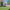 https://res.cloudinary.com/billionhands/image/upload/v1773061234/items/nfgaq2toripll15jdofx.jpg-1cover