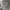 https://res.cloudinary.com/billionhands/image/upload/v1773061355/items/m5po3w3i46a0ky5jvmdd.avif-0cover