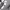 https://res.cloudinary.com/billionhands/image/upload/v1773061355/items/pbj0stg7ljyac7uisr2p.jpg-2cover