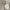 https://res.cloudinary.com/billionhands/image/upload/v1773061374/items/v0e60mmaae7c9uyh8mm9.jpg-3cover