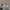 https://res.cloudinary.com/billionhands/image/upload/v1773061441/items/ntplqv53c8bmvuvuwuiu.jpg-3cover