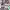 https://res.cloudinary.com/billionhands/image/upload/v1773061446/items/dbwq5ippklenwrfdgmef.avif-3cover
