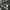 https://res.cloudinary.com/billionhands/image/upload/v1773061448/items/mhgnt70nxctha4j0hvlw.jpg-0cover