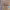 https://res.cloudinary.com/billionhands/image/upload/v1773061470/items/ode7nqehsrqzr9urxsyd.jpg-3cover