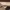 https://res.cloudinary.com/billionhands/image/upload/v1773061487/items/djuxgnsd9dvg3r9rjfwu.webp-2cover