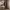 https://res.cloudinary.com/billionhands/image/upload/v1773061538/items/me51jgvjkghw4by8pgd7.jpg-2cover