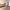 https://res.cloudinary.com/billionhands/image/upload/v1773061555/items/xlmyczaym5o01zjaijmo.webp-2cover