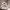 https://res.cloudinary.com/billionhands/image/upload/v1773061579/items/toromgntx1xjdfzprr1x.webp-2cover