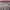 https://res.cloudinary.com/billionhands/image/upload/v1773061579/items/vatbrh3hf1zcgrtnnuou.jpg-3cover